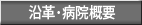 沿革･病院概要