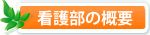 概要