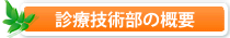 概要