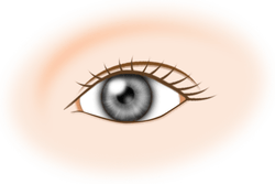 二重まぶた手術のご案内 南ヶ丘病院